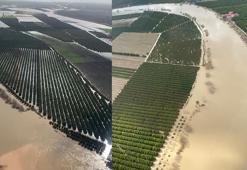 Adana’da tarım arazileri su altında kaldı; ‘Üreticiler yeniden ekim yapacak’