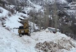 Yüksekova'da köye düşen çığ korkuya neden oldu