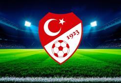 A Milli Takım, Romanya maçına hazır