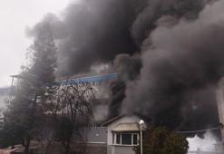 Trabzon'da fındık fabrikasında yangın