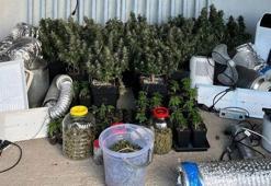 Kocaeli’de 40 adrese uyuşturucu baskını: 36 gözaltı