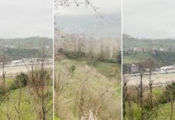 Rize'de gökyüzünde süzülen şahin sürüsü kamerada