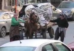 Avcılar’da aşırı yük taşıtılan ata sopa ve kemerli şiddet kamerada