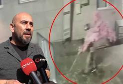 Süs ağacı çalınan iş yeri sahibi: Özür dilerse şikayetçi olmayacağım