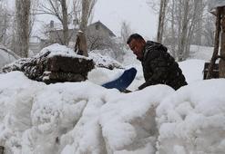 Van'da mart ayının sonunda kar yağışı