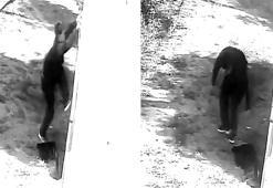 Balkonundan girdiği daireden dizüstü bilgisayar çalan şüpheli tutuklandı