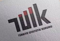 Toplam sera gazı emisyonu 2024 yılında 584,5 milyon ton karbondioksit eş değeri oldu