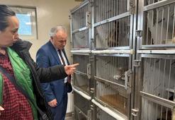 Ankara'da kötü şartlarda tutulan 102 hayvana el konuldu