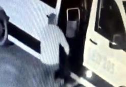 Avcılar'da mahallenin maskotu 'Garip' isimli köpeği çalan şüpheli yakalandı