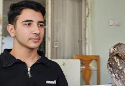 14 yaşındaki Berk, yaralı bulduğu İshak kuşunun yaşama tutunmasını sağladı