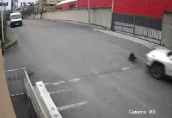 Avcılar’da cip sürücüsü köpeği ezdi yoluna devam etti