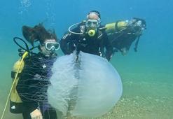 Antalya Körfezi'nde poyraz etkili oldu, denizanaları kıyıya sürüklendi