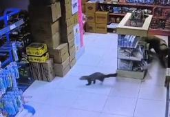 Sansar markete girdi