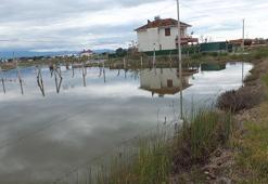 Burhaniye'de yazlıklar ve tarlalar su içinde kaldı