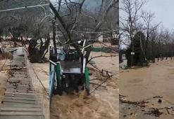 Yalova’da sağanak nedeniyle dereler taştı, 5 büyükbaş öldü