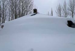 Yüksekova'da evler kara gömüldü