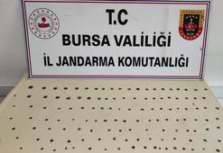 Bursa’da 137 sikke ele geçirildi