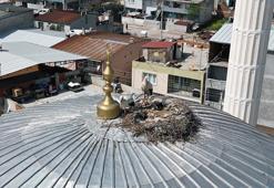 6 yıldır aynı yuvaya dönüyorlar