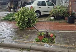 Bodrum’da tam fırtına günlük yaşamı olumsuz etkiledi