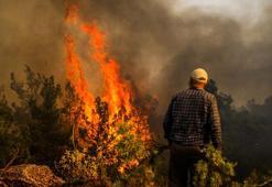 2025'te ihmal, dikkatsizlik, kasıt ve kazadan 1933 orman yangını çıktı