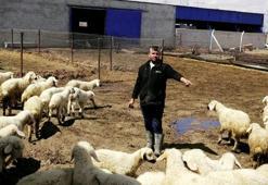 80 bin lira maaşla çalıştıracak çoban bulamıyorlar