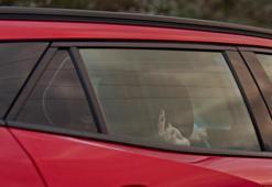 Güller ve Günahlar’da sessiz bir çığlık