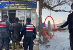 Çok yediğini iddia ettiği köpeğini ağaca asıp öldüren şüpheli tutuklandı