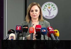 DEM Parti'li Doğan: Tartışmaları siyasal zemin üzerinden yürütmek daha doğru olur