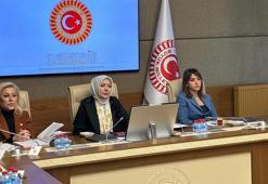 Kamu Denetçisi Benli: Cinayete maruz kalan kadınların yüzde 88'inin koruma kararı yok