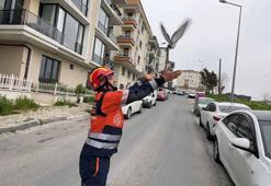 Avcılar'da havalandırma boşluğuna düşen güvercin ve martıyı itfaiye kurtardı