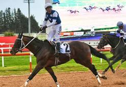 Adana’da Akdeniz Derbisi’nin kazananı ‘Dapper Man’ oldu