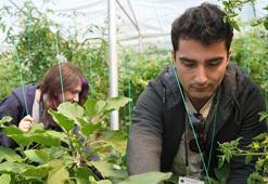 Psikiyatri hastaları hem tedavi görüyor hem para kazanıyor