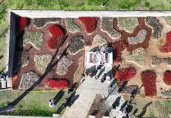 İstanbul'da lale zamanı; tarihi park ve korulara 3 milyon 580 bin lale dikildi