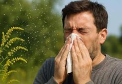 Prof. Dr. Özlü’den 'polen alerjisi'nde erken tedavi uyarısı