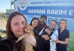 Bakımevinde tedavileri tamamlanan engelli kedileri, anne ve kızı sahiplendi
