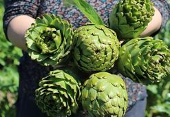 İzmir'de enginar mesaisi