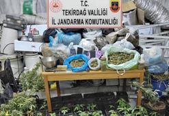 Kaçak elektrik kullanılarak uyuşturucu üretilen eve operasyon