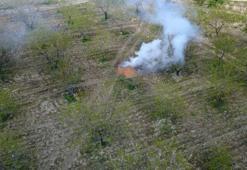 Manisa’da üreticilerden ‘zirai don' nöbeti; badem ağaçlarına dumanlı koruma