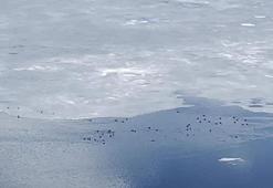 Çıldır Gölü'nde çözülme başladı