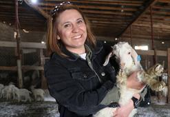 Devlet desteğiyle kurduğu çiftlikte 6 yılda 1300 Ankara keçisine ulaştı