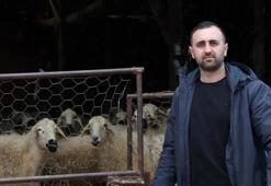 Devlet desteğiyle 20 koyunla başladığı hayvancılıkta sürüsü 400 başa ulaştı