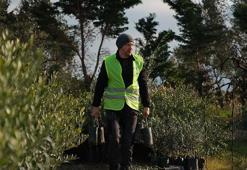 'Ağaç Adam'ın hedefi 1 milyon zeytin fidanı