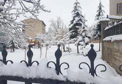 Van Başkale’de kar yağışı