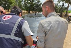 Bakanlıktan, 'biberlerin hayvanlara verildiği' görüntülere ilişkin açıklama