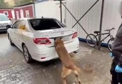 Diyarbakır'da 6 kilo kokain ele geçirildi; 1 tutuklama