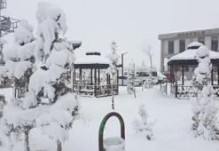 Van'da kar yağışı; 93 yerleşim yeri ulaşıma kapandı