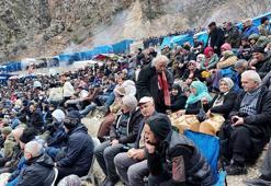 Artvin’de boğa güreşleri ilgiyle izlendi