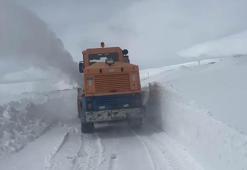 Erzurum, Kars ve Muş'ta 160 mahalle ve köy yolu ulaşıma kapandı