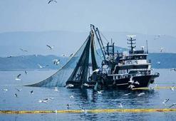 Denizlerde av yasağı 15 Nisan'da başlıyor