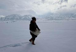 Karla kaplı tarlaya yonca ekti